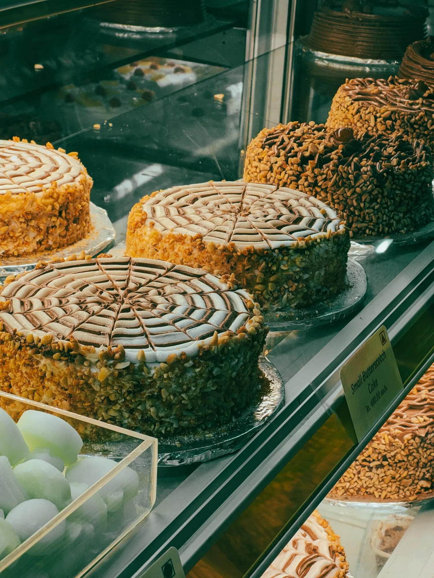 Whole mousse cakes with piped patterns lined up in a lit display case